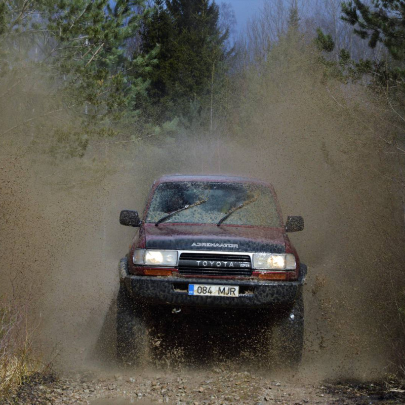 Off-Road Safari